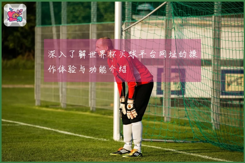 深入了解世界杯买球平台网址的操作体验与功能介绍