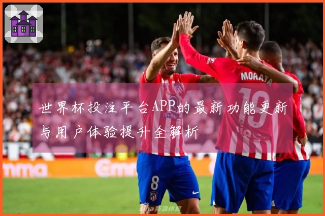世界杯投注平台APP的最新功能更新与用户体验提升全解析