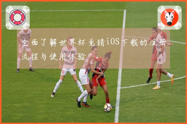 全面了解世界杯竞猜iOS下载的注册流程与使用体验