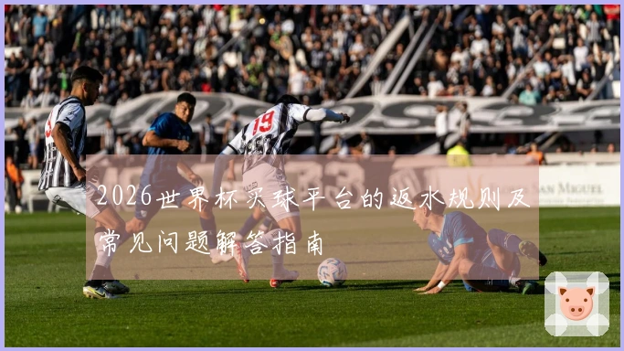 2026世界杯买球平台的返水规则及常见问题解答指南