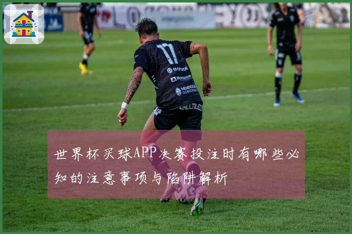 世界杯买球APP决赛投注时有哪些必知的注意事项与陷阱解析