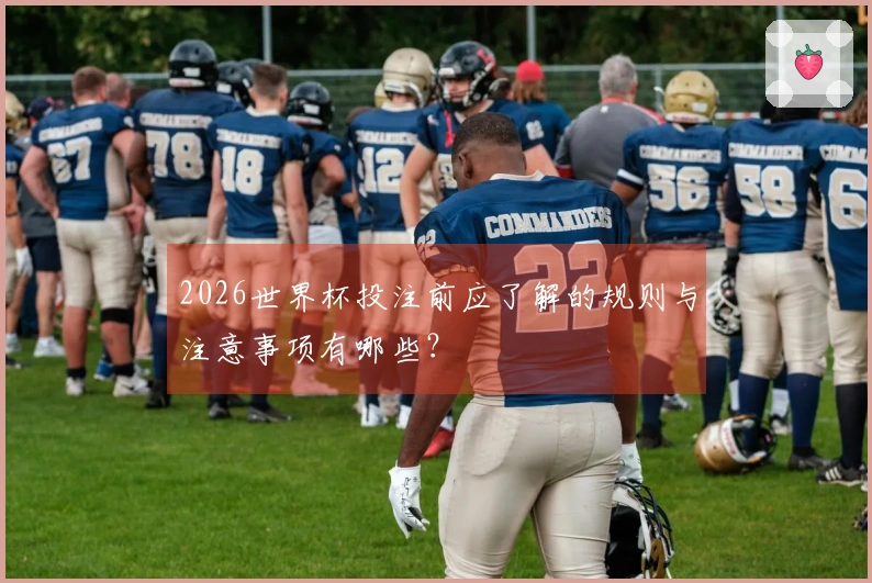 2026世界杯投注前应了解的规则与注意事项有哪些？