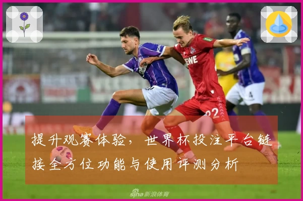 提升观赛体验，世界杯投注平台链接全方位功能与使用评测分析