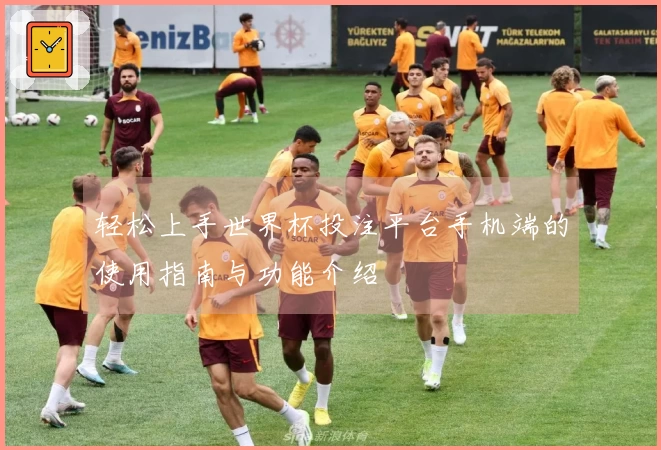 轻松上手世界杯投注平台手机端的使用指南与功能介绍