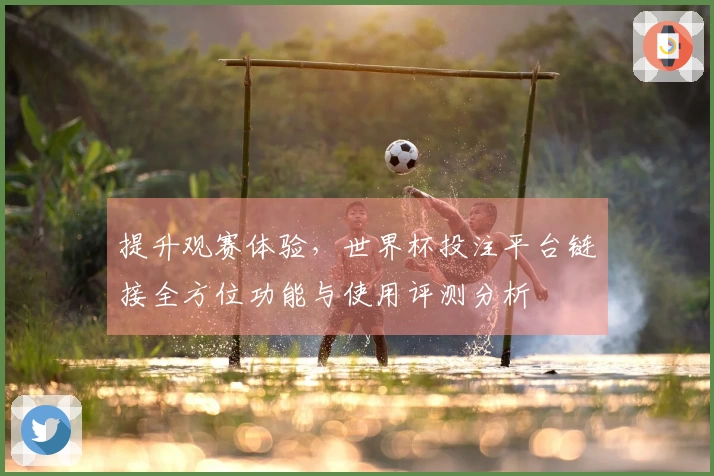 提升观赛体验，世界杯投注平台链接全方位功能与使用评测分析