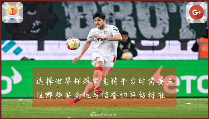 选择世界杯冠军竞猜平台时需要关注哪些安全性与信誉的评估标准