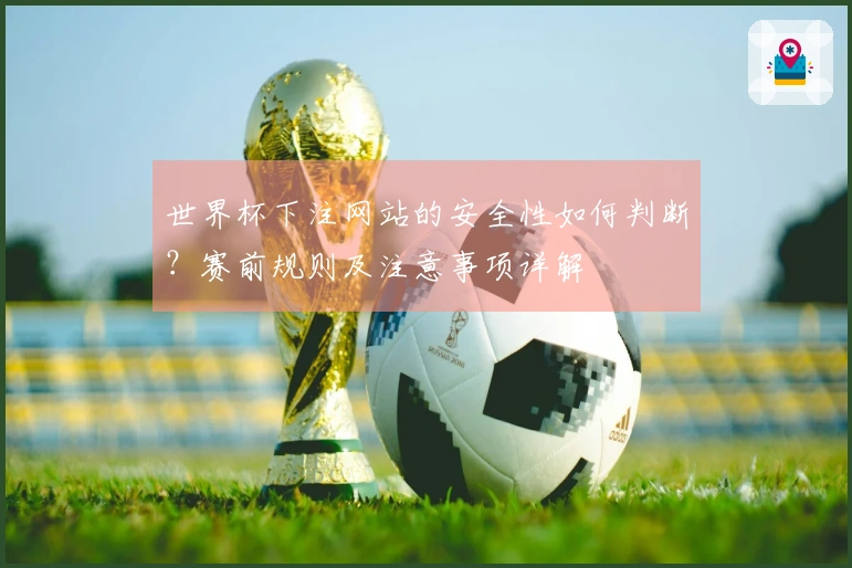 世界杯下注网站的安全性如何判断?赛前规则及注意事项详解