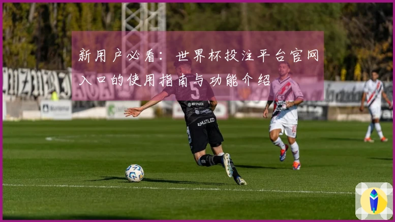 新用户必看：世界杯投注平台官网入口的使用指南与功能介绍