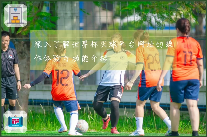 深入了解世界杯买球平台网址的操作体验与功能介绍